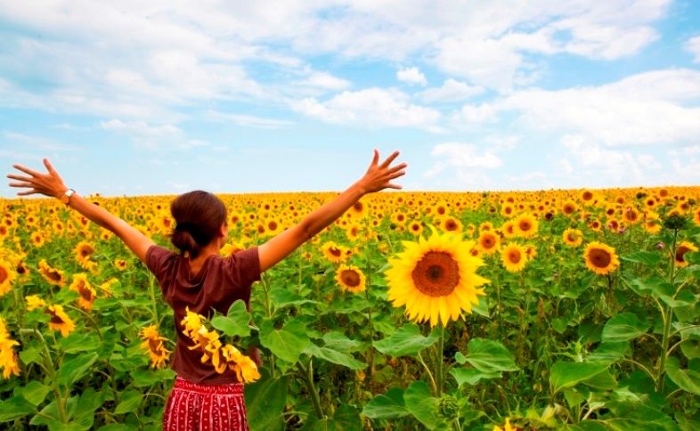 Woman praising God in a beautiful sunflower field