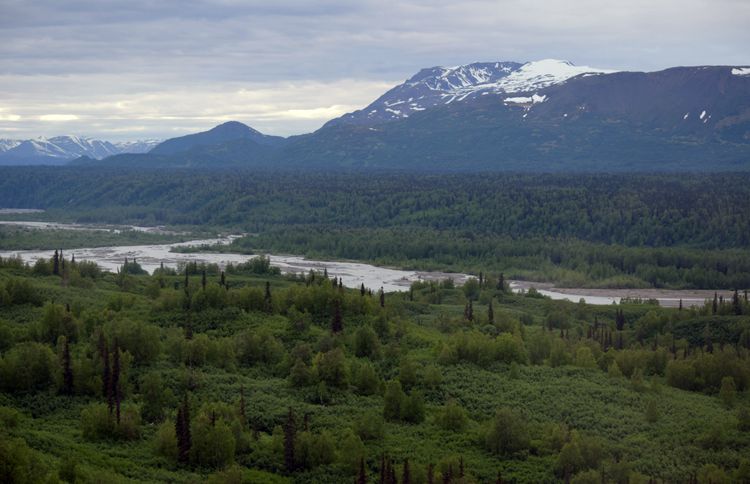 Aerial view of Alaska