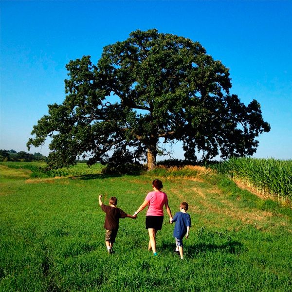 Guideposts: Out-of-town friends Lora Kohnlein and her sons Duggan and Patrick experience That Tree.