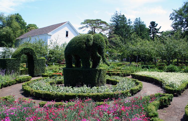 Guideposts: A shrub trimmed and shaped to resemble an elephant at Green Animals in Portsmouth, Rhode Island