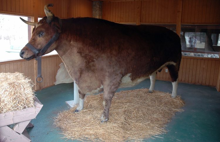 Guideposts: Old Ben the Steer in Kokomo, Indiana