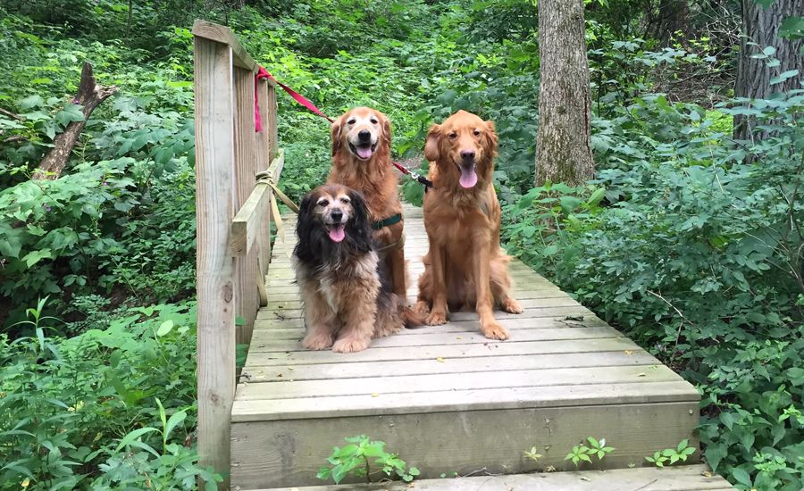 Labor Day Activities: Kelly, Ike and Zeke spend some time in the great outdoors