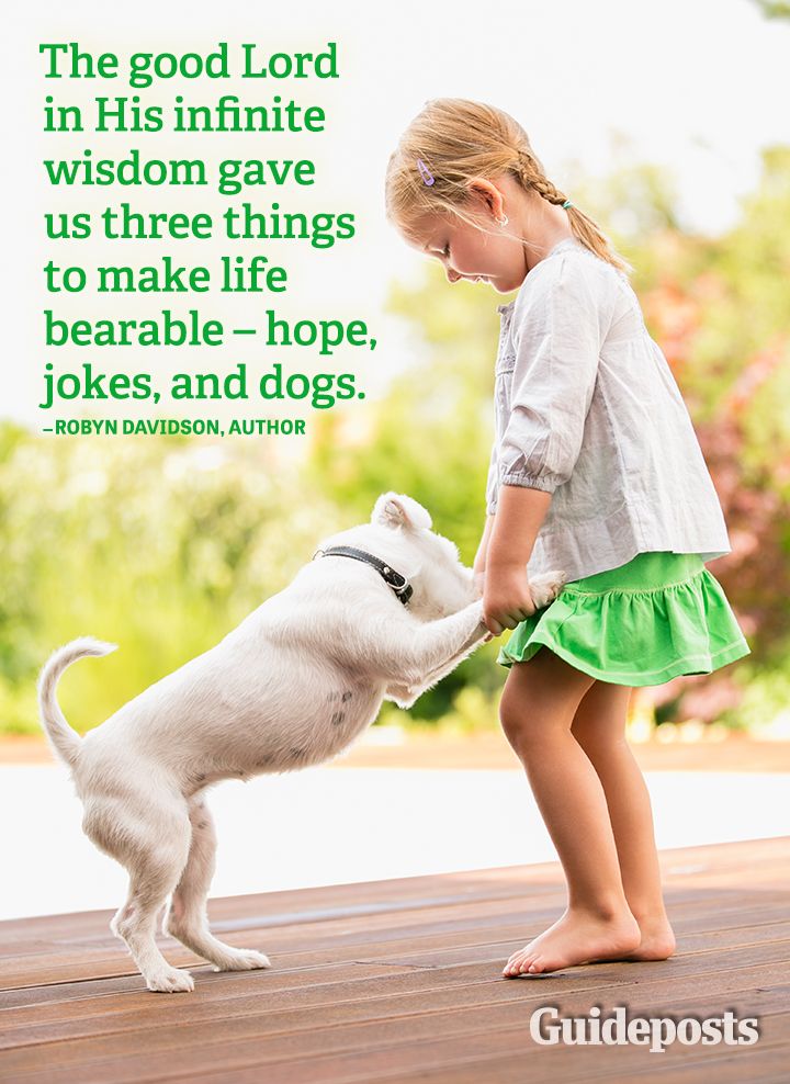 quotes hope jokes dogs God wisdom