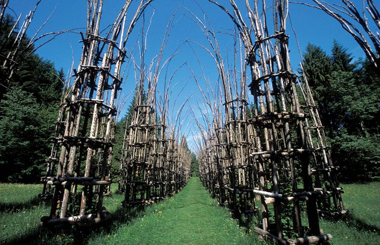 Guideposts: The Tree Cathedral was designed by Italian artist Giuliano Mauri and is still being built—by the trees themselves.