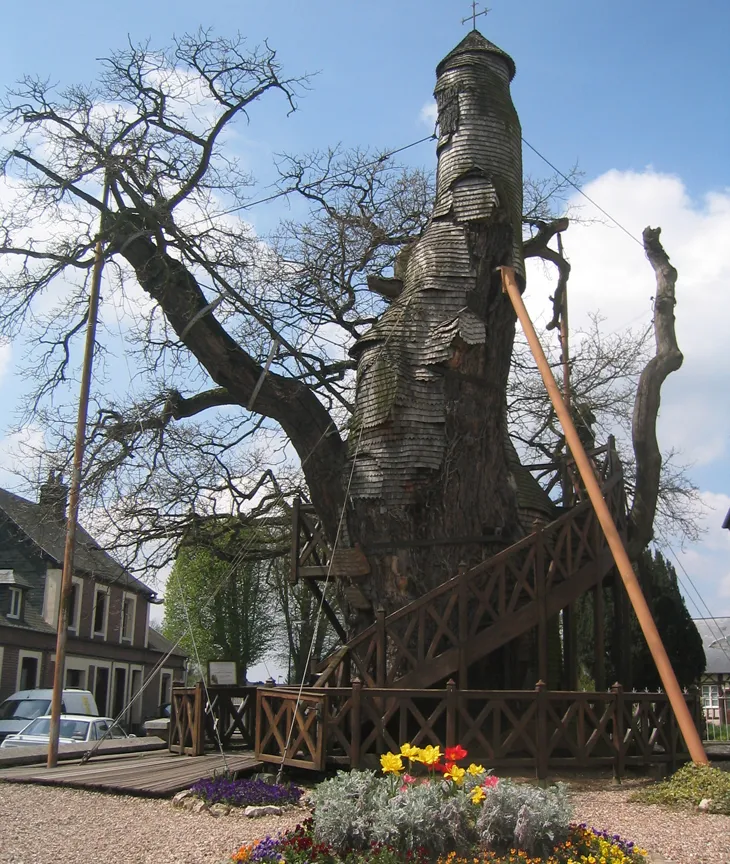 Guideposts: What do you do with an 800-year-old hollow oak tree? Build a church in it, of course! The Chapel Oak was built in the 17th century