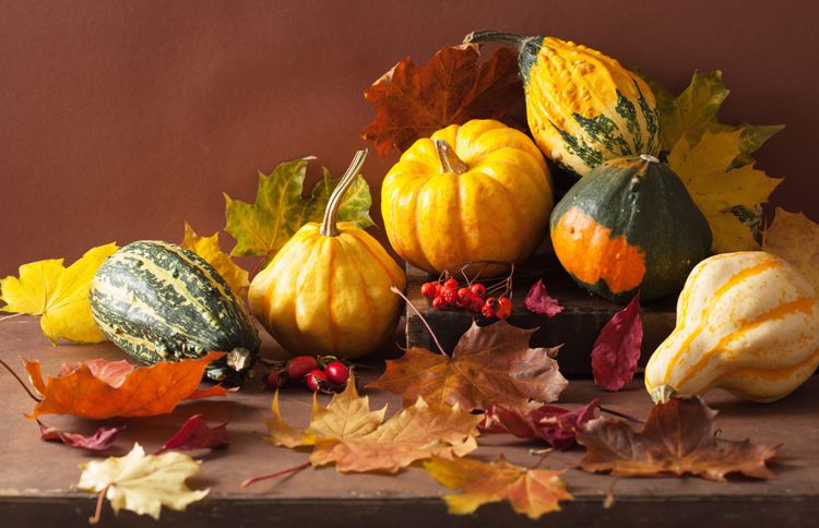Guideposts: A collection of colorful small gourds are artfully arrange to evoke an autumnal  mood.