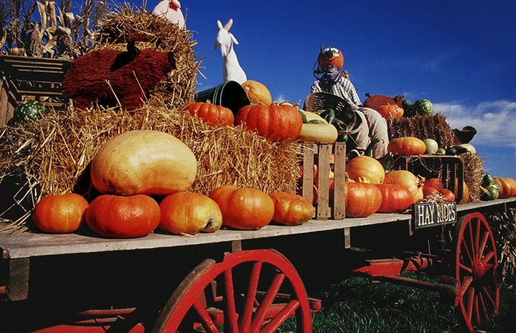 Guideposts: A country wagon decorated with autumn themes advertises hay rides