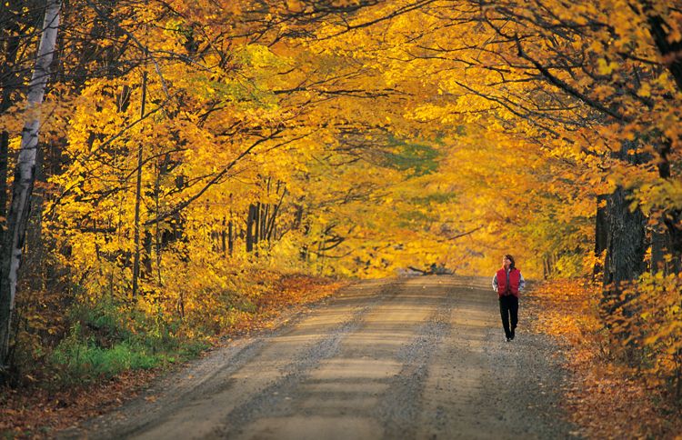 Guideposts: A woman enjoys a long walk through the fall foliage.