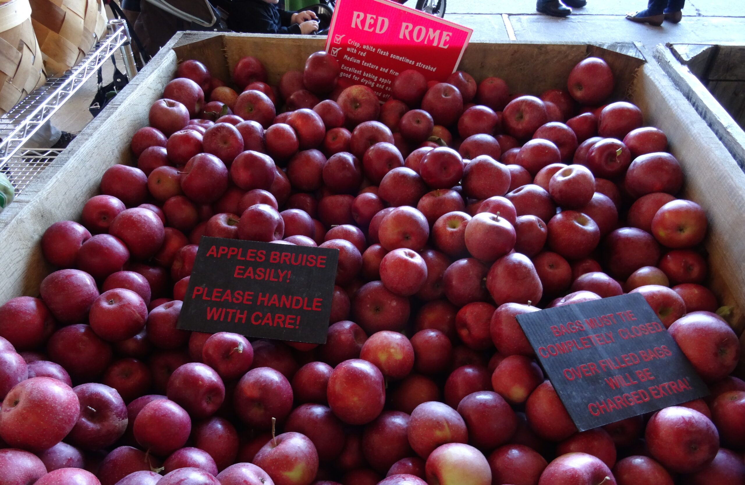 A big bin of apples including Rome, cameo, pink lady and red delicious