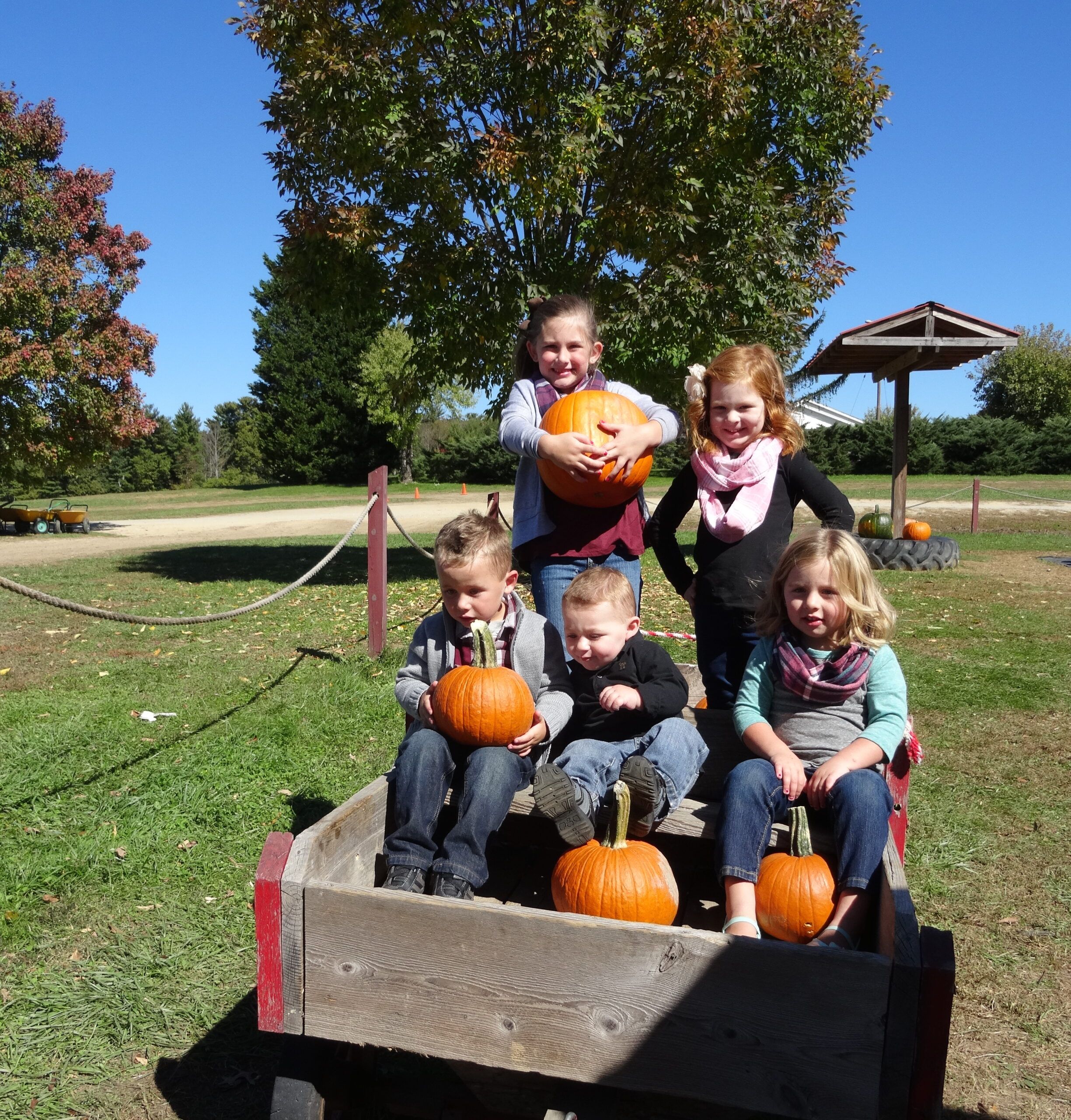 A pumpkin cart proved a perfect photo op for Michelle's five grandkids.
