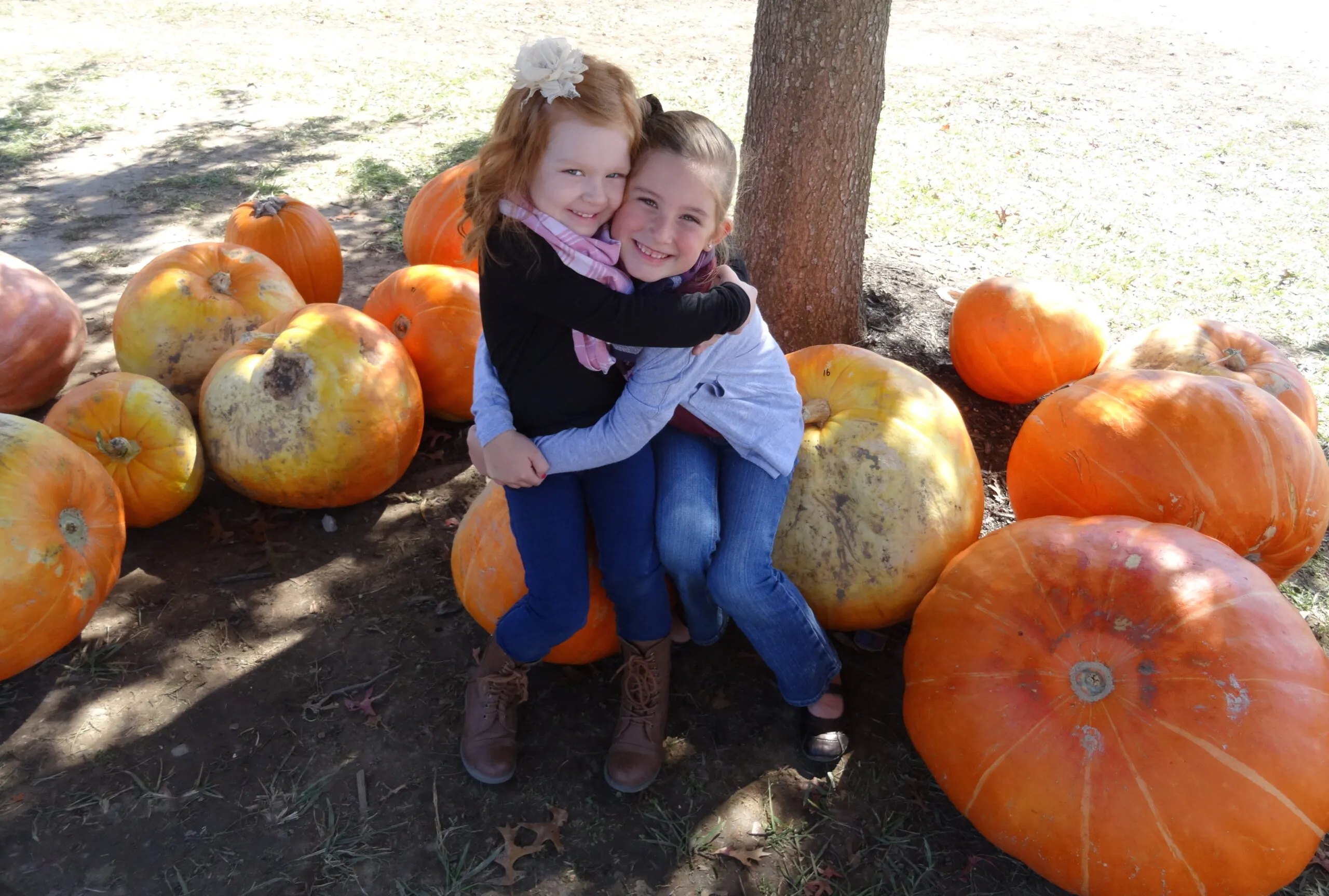 Michelle's granddaughters Ava and Anna pose with a pile of pumpkins.