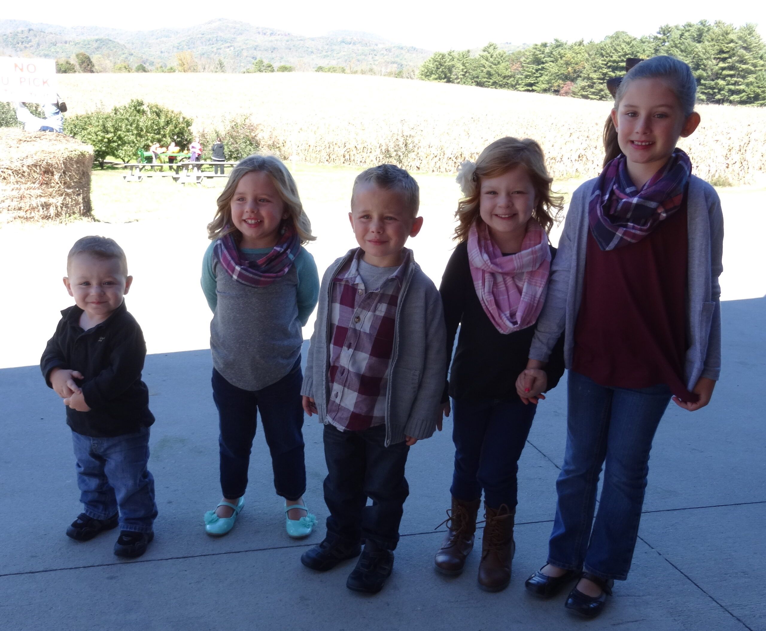 Michelle Cox's grandkids lined up in order of height