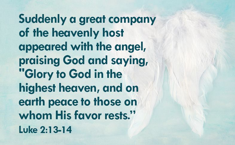 Suddenly a great company of the heavenly host appeared with the angel, praising God and saying, "Glory to God in the highest heaven, and on earth peace to those on whom his favor rests.”  Luke 2:13-14