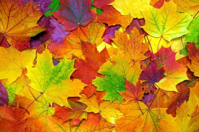 Celebrate the fall season with this autumn prayer.