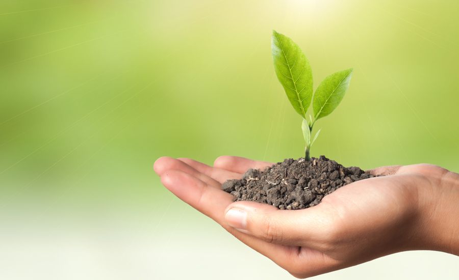 Guideposts: An outstretched hand holds a clump of soil from which a green plant sprouts