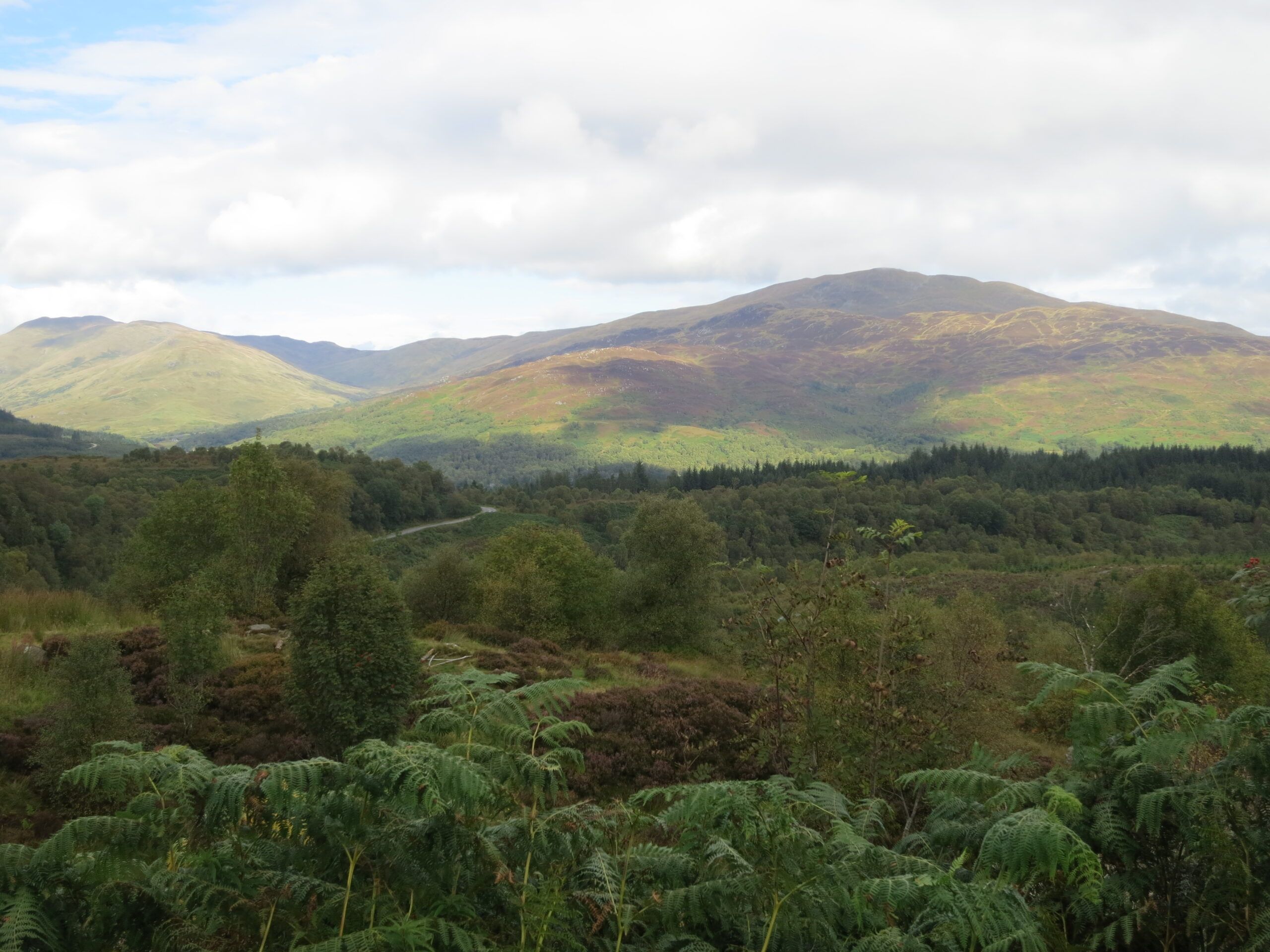 A lush view of the glorious Scottish Highlands