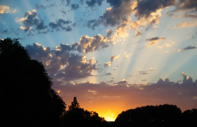 Guideposts: The rising sun peeks out over the treetops