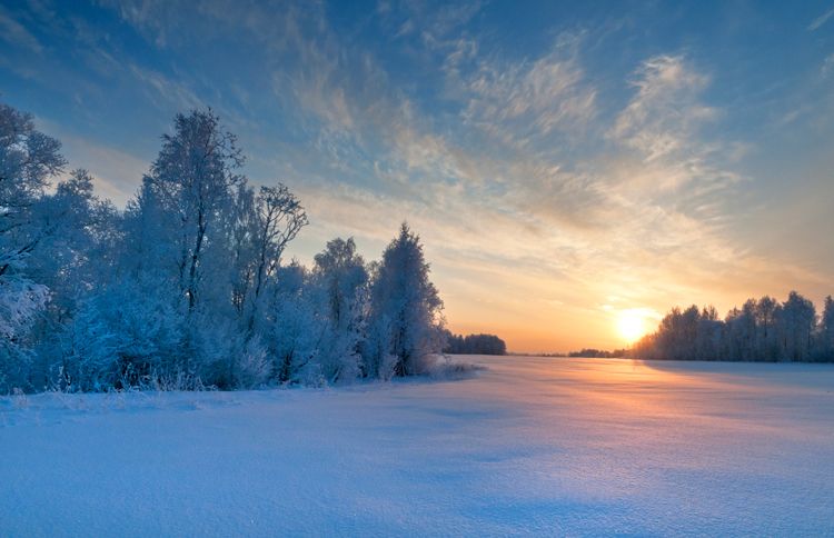 Guideposts: The rising sun shines out over a white winter's landscape
