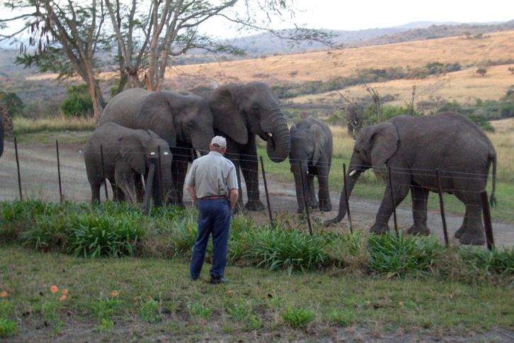 Guideposts: Lawrence gazes at his beloved elephants on the game reserve