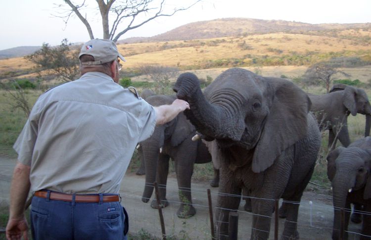 Guideposts: Lawrence reaches out to gently caress one of the elephants he rescued