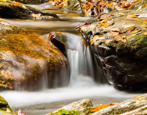 Guideposts: Beautiful fall leaves cover the rocks of a small shoal below High Shoals Falls near Hiawassee, Georgia.