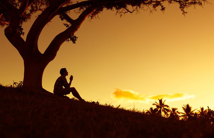 Man praying under a tree with a new year bible verse