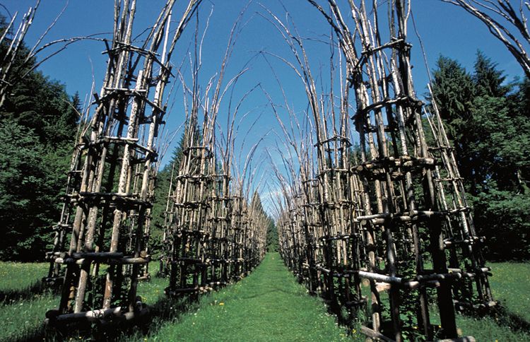 Guideposts: Giuliano Mauri's Cattedrale Vegetale, a cathedral made entirely of trees outside Bergamo, Italy