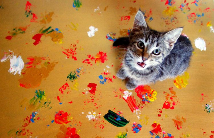 Artist Cat creates Rescue Cat Art to raise money for the care of abandoned and orphaned pets.