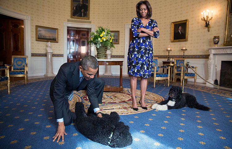 Guideposts: Barack and Michelle Obama with Bo and Sunny in the Oval Office