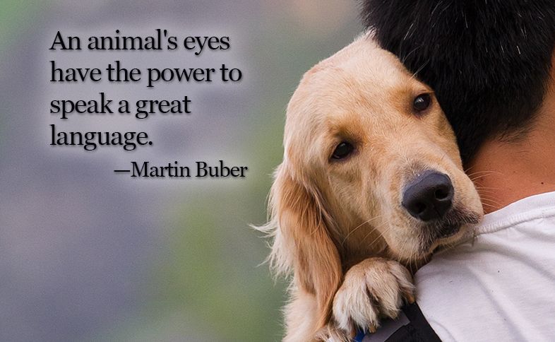 Inspirational Quotes for Animal Lovers - Guideposts
