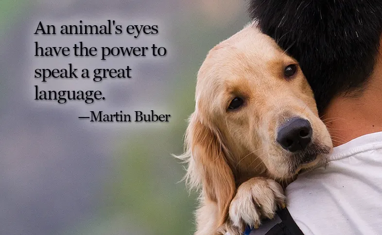 An animal's eyes have the power to speak a great language. ―Martin Buber