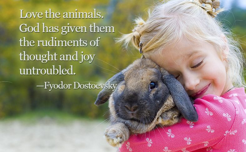 Love the animals. God has given them the rudiments of thought and joy untroubled. ―Fyodor Dostoevsky