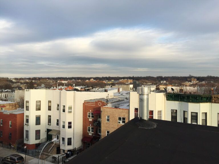 A few of the trees of Highland Park in New York City.