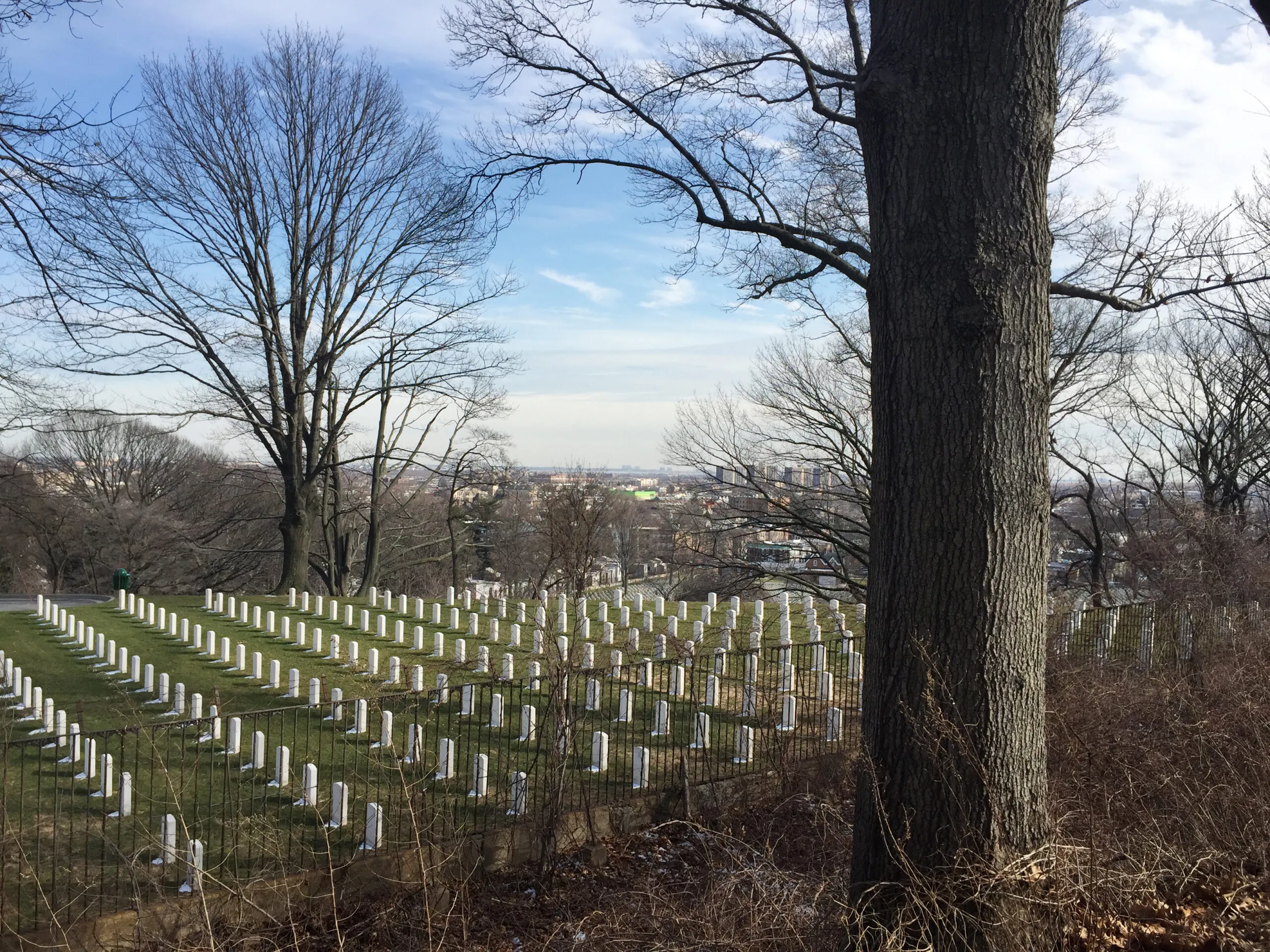 Cypress Hills Cemetery where Jackie Robinson rests.