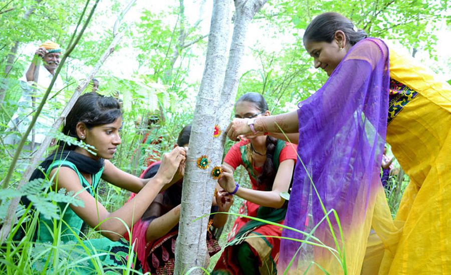 Villagers plant 111 trees to mark the birth of baby girls