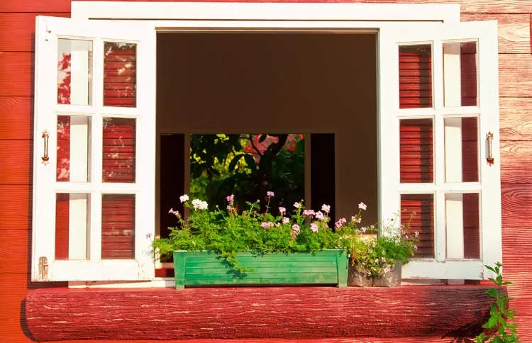 An open window with spring flowers