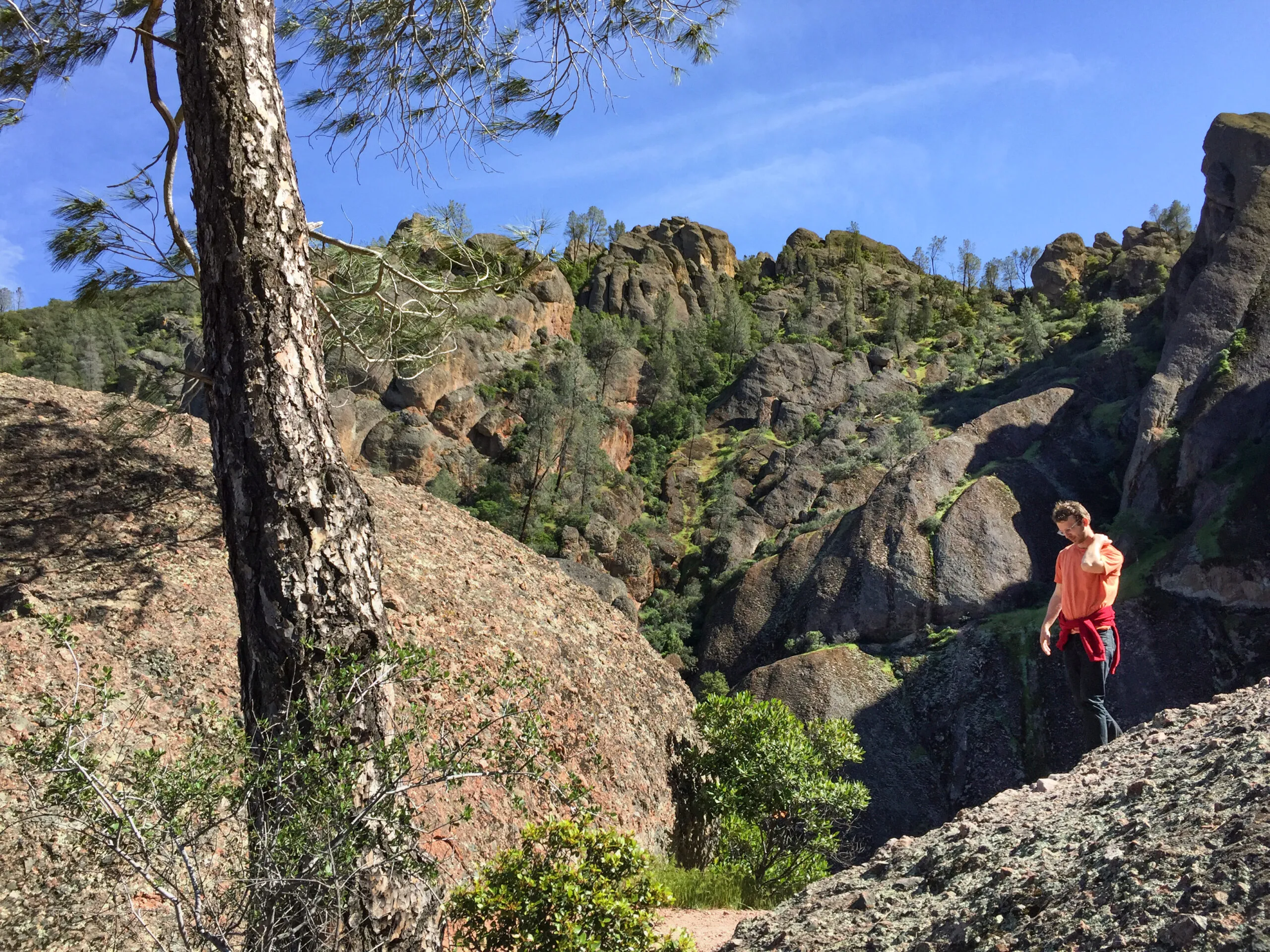 Dan Hoffman hikes the hills of Big Sur.