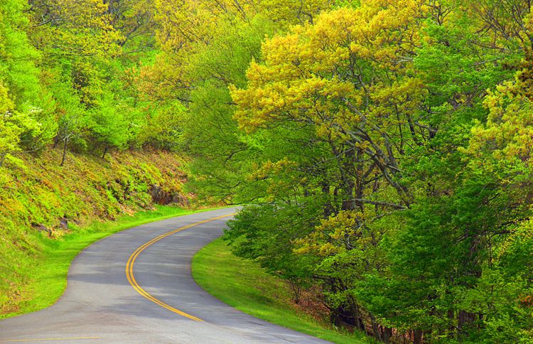 A winding stretch of the Blue Ridge Parkway