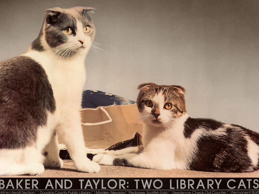 Baker and Taylor cats first poster