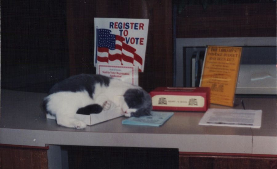 The Inspiring Tale of Library Cats Baker & Taylor Guideposts