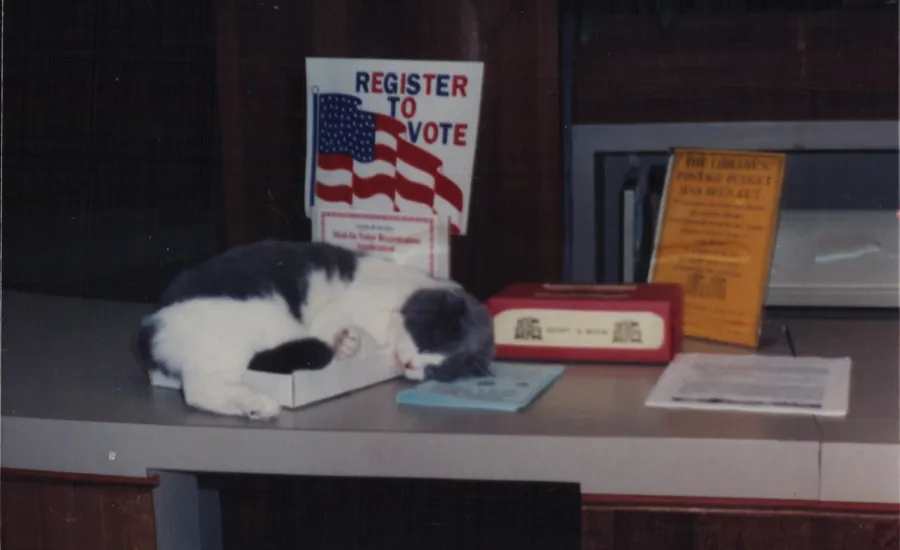 Baker sleeping at the library