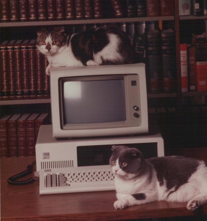 Baker and Taylor on computer monitors