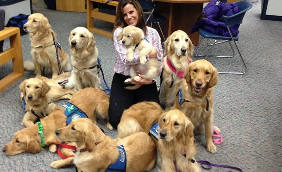 Comfort Dogs Sandy Hook Elementary