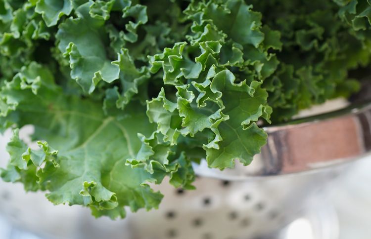 Kale Is a Cancer-Fighting Food