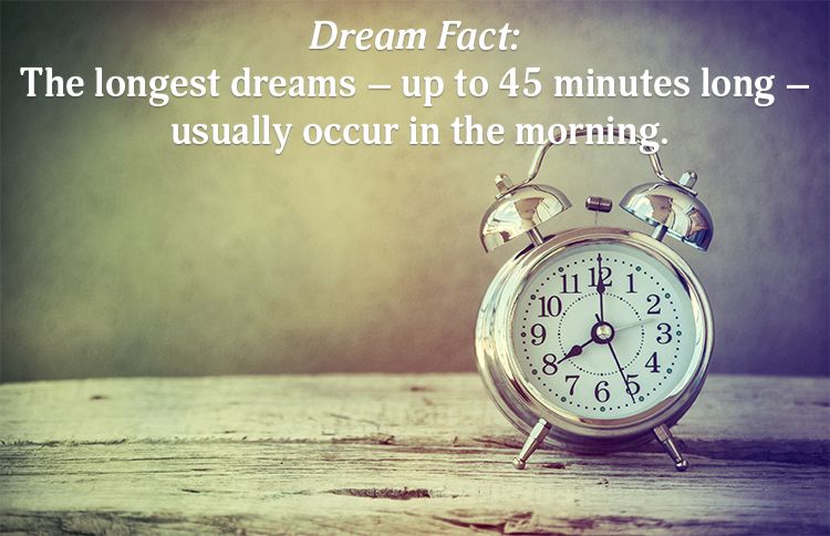 REM Sleep Dream Fact