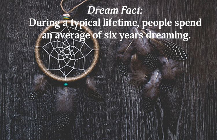 Years Spent Dreaming Dream Fact