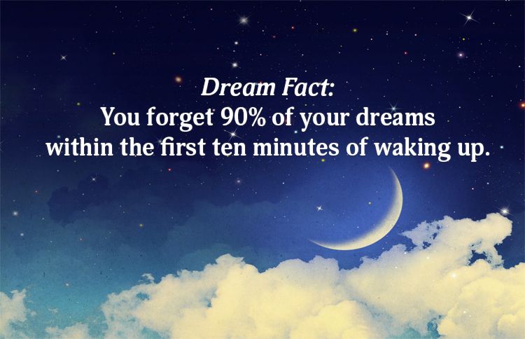 Forget Dreams Fact