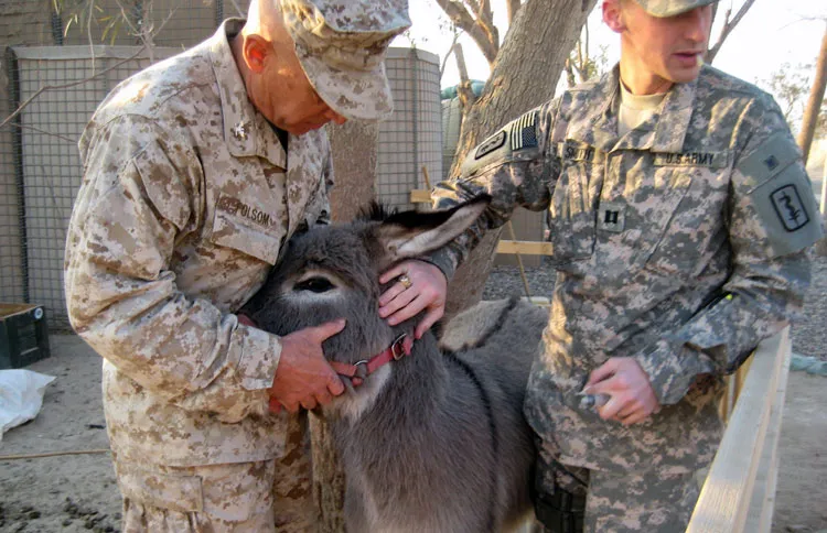 John holds Smoke while he gets his blood drawn by Capt. Brian Smith