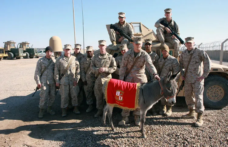 Smoke and the Base Operations Section Marines at Camp al Taqaddum in  Iraq