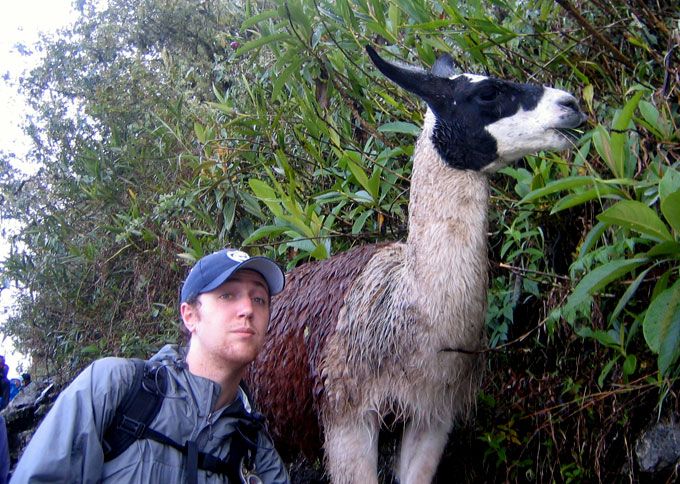 Adam meets a llama as he enters Machu Picchu. According to the Incas, llamas served as spiritual guides offering endurance and strength to travelers.